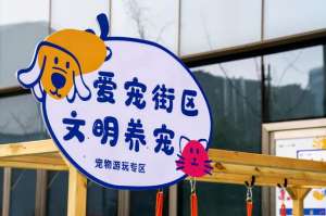 河南狗养殖基地(@郑州市民，您的爱犬也有打卡地了，五彩路爱宠街免费开放)