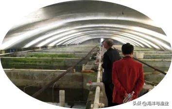 国家级良种场 产品获广东省名牌产品——广东绿卡中华鳖良种场