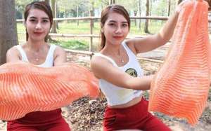 丹东养殖三文鱼(国内哪里的三文鱼最出名？中国十大三文鱼产地，哪个地方最好吃？)