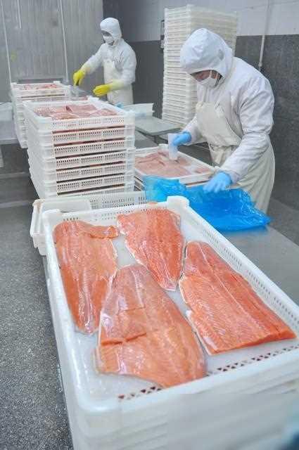 国内哪里的三文鱼最出名？中国十大三文鱼产地，哪个地方最好吃？