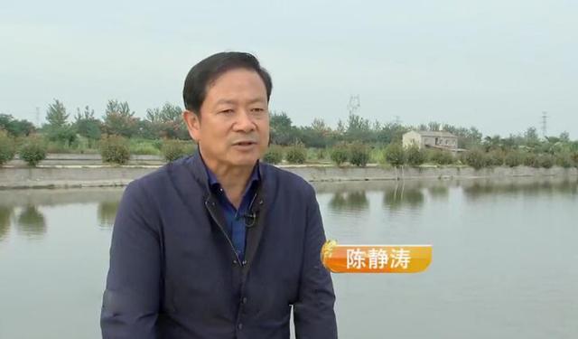 70后大叔陈静涛，仿野生养殖甲鱼，绝地翻身年销6000万
