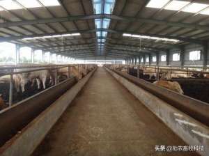 牛羊养殖废水处理(牛粪快速发酵成有机肥新技术，比自然发酵快5-10倍成本还更低)