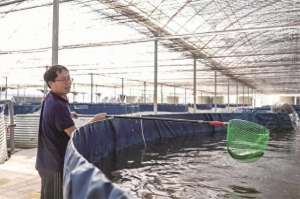 江苏鲟鱼养殖(江苏常州：“黑科技”养殖“生态鱼”，幸福生活都在“桶”里装)