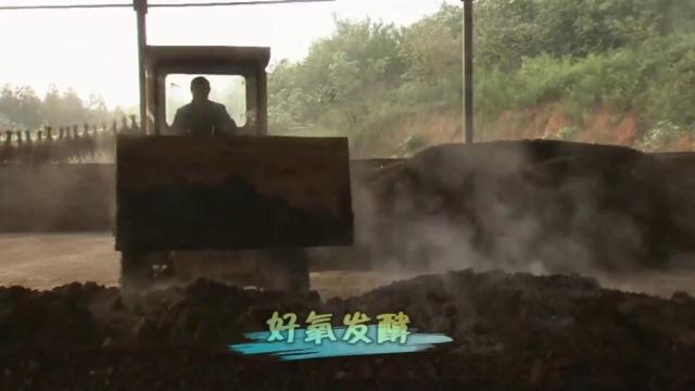 他建起中国最大的养兔场，年出栏百万只兔子，还将兔肉卖到了国外