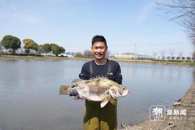 浙江诞生两项“农业之最”水产养殖新纪录 11.4斤的鳜鱼和67.2斤的青鱼夺魁
