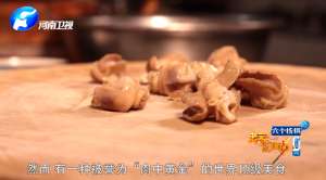 许亚同养殖蜗牛(世界四大名菜之首，竟然如此小巧可耐……)