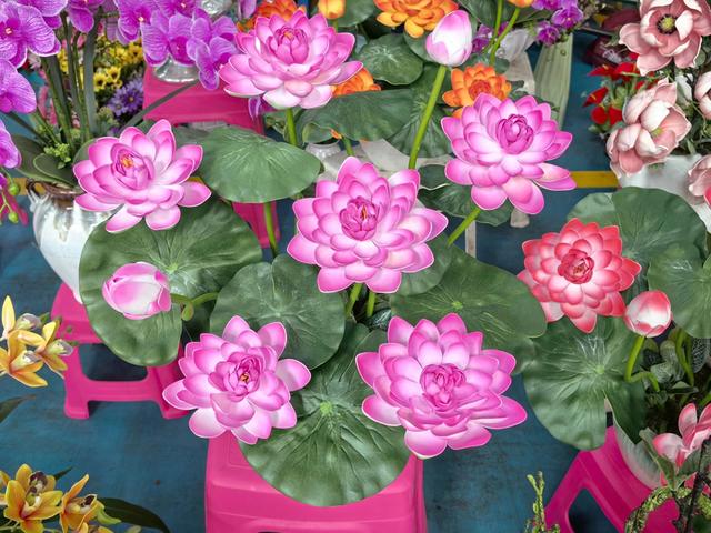 云南昆明：有个亚洲最大的花卉市场，花卉1600多种，是国家3A景区