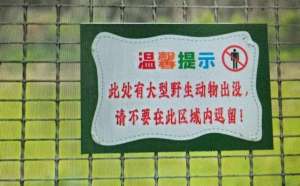 九鹿梅花鹿养殖场(上海崇明“暴躁鹿”为梅花鹿，公鹿已送至上海动物园饲养)
