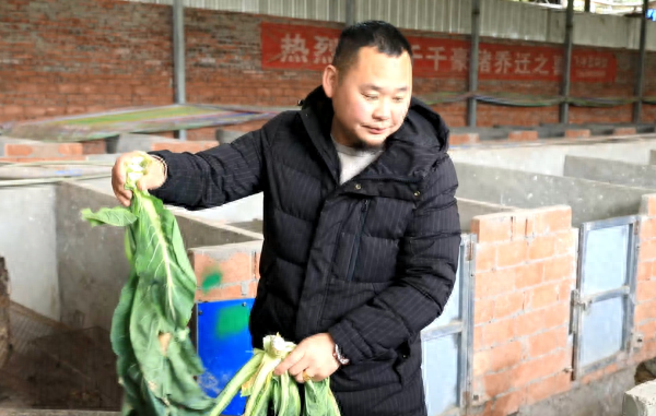 扎根家乡创业 内江市市中区的“豪猪先生”带领村民增收致富