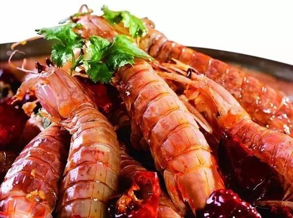 皮皮虾走红网络，肉质鲜美价格高，那么该如何养殖呢？