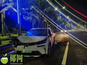 广汽车祸(事发海口同一路段发生两起交通事故，3头牛被撞死)