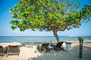 美女巴厘岛spa按摩(在巴厘岛做一次SPA是什么感受)