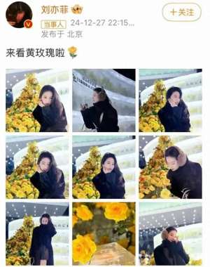 约貂皮美女(刘亦菲亲赴哈尔滨黄玫瑰之约，演绎冬日浪漫传奇)