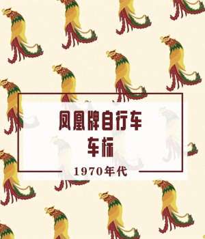凤凰牌汽车(70年代凤凰牌自行车你骑过吗？你还记得车上标是什么样子的吗？)