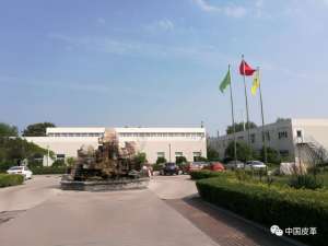 汽车坐垫革(2020段镇基皮革和制鞋科学技术奖系列报道——高档汽车座垫革专用低雾化加脂剂的制备研究与