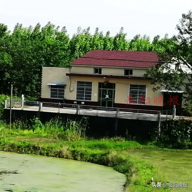 岳阳美女被杀(岳阳21岁女大学生遇害，被埋家前河堤旁，村民称嫌犯少时曾犯案)