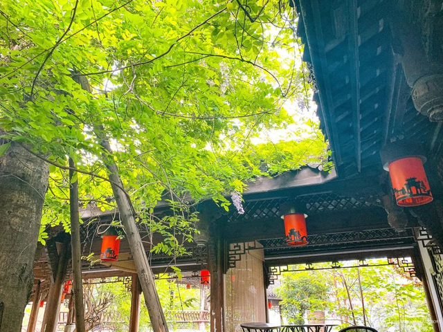 成都高新区9条宝藏街巷来袭！周末逛起！