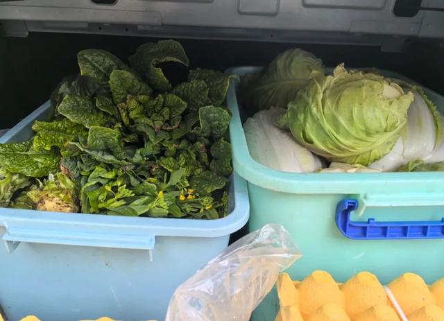 有人返广州400公里开了12小时?不怕!你有个被塞满的后备箱