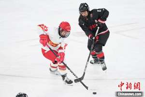 亚冬会女子冰球:中国队摘铜 日本队成功卫冕