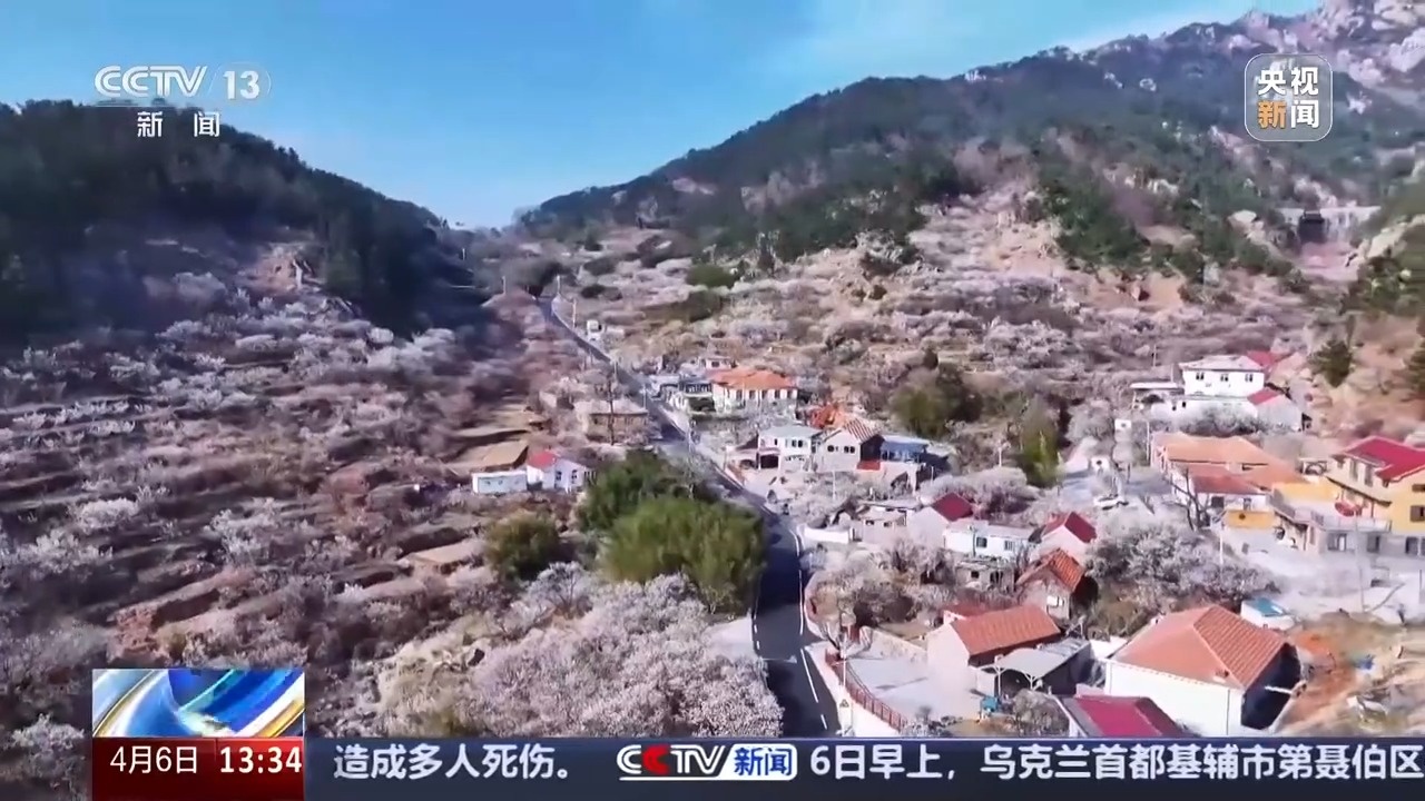 一路繁花 坐着“开往春天的地铁”踏春赏花 快来打卡！