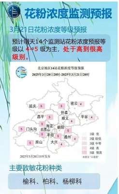 花粉过敏高发季来临 防护攻略请查收