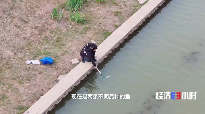 低空经济爆发！这些“会飞”的工作正吃香→
