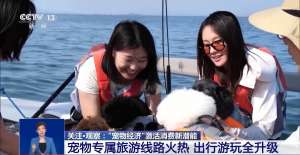 @爱宠人士 出行游玩全升级 快来开启“携宠出行”新体验